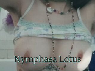 Nymphaea_Lotus