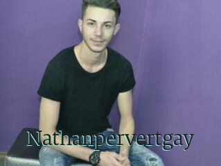 Nathanpervertgay