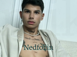 Nedfollin