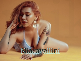 Niacavallini