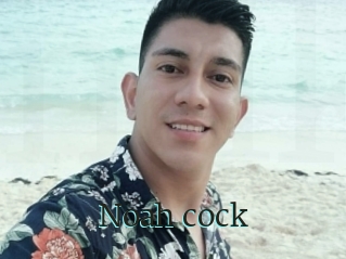 Noah_cock