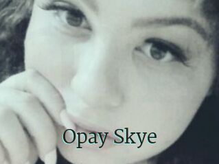 Opay_Skye