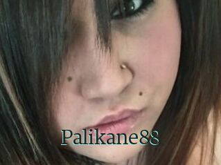 Palikane88