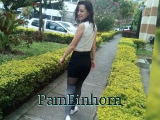 PamEinhorn