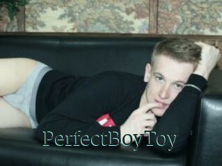 PerfectBoyToy