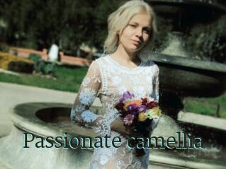 Passionate_camellia