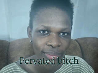 Pervated_bitch