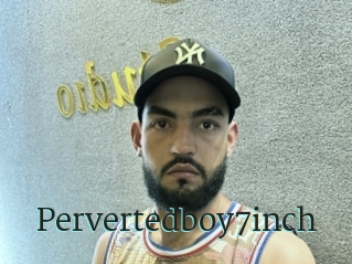 Pervertedboy7inch