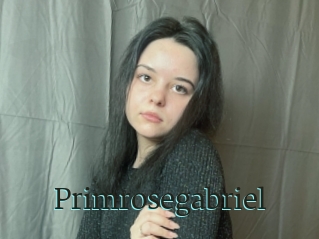 Primrosegabriel