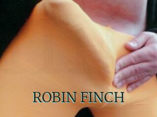 ROBIN_FINCH