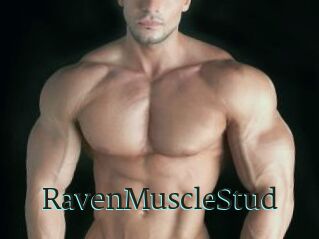 RavenMuscleStud