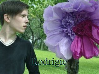Rodrigie