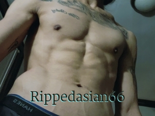 Rippedasian66