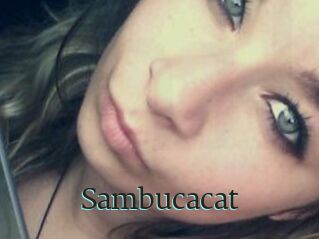 Sambucacat