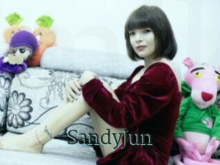 SandyJun