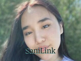 SaniLink