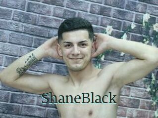 ShaneBlack