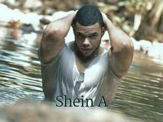 Shein_A