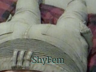 ShyFem