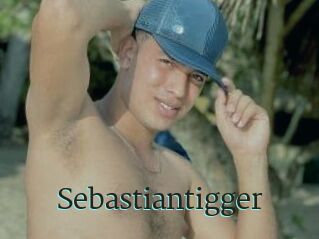 Sebastiantigger