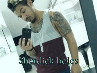 Sherdick_holes