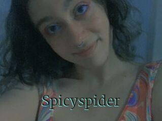 Spicyspider