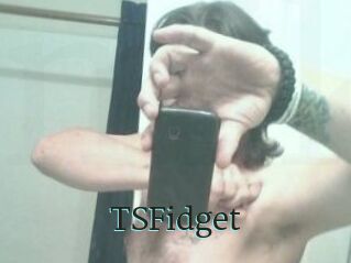 TSFidget