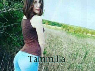 Tammilla_