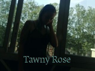 Tawny_Rose