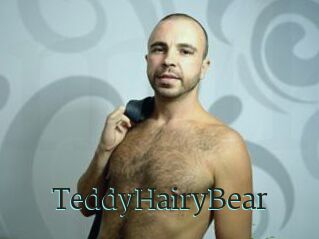 TeddyHairyBear