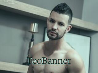 TeoBanner