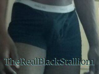 TheRealBlackStallion1