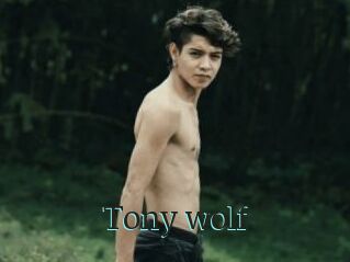 Tony_wolf