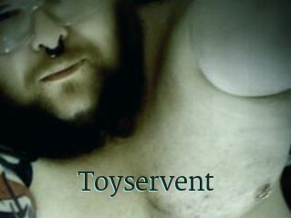 Toyservent