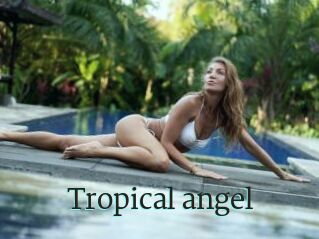 Tropical_angel