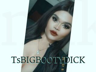 TsBIGBOOTYDICK