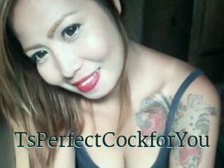 TsPerfectCockforYou