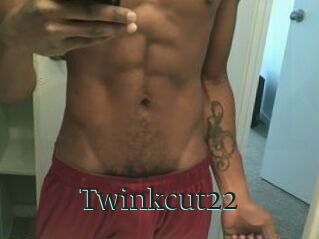 Twinkcut22