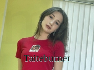 Taiteburner