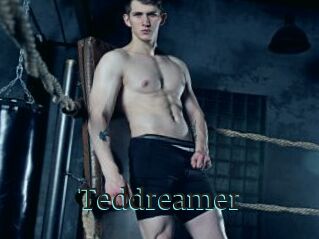 Teddreamer