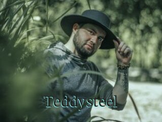 Teddysteel