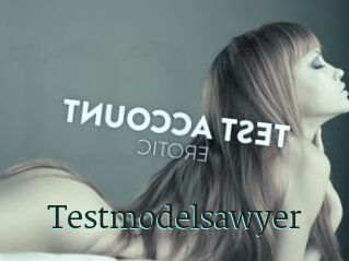 Testmodelsawyer