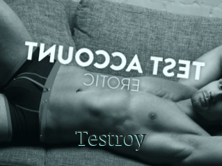 Testroy