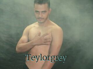 Teylorgrey