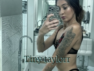 Tiny_taylorr