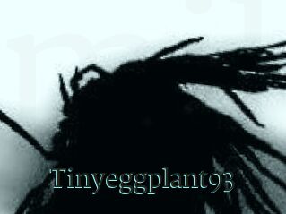 Tinyeggplant93