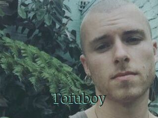 Tofu_boy