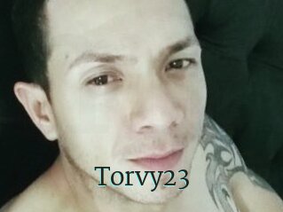 Torvy23