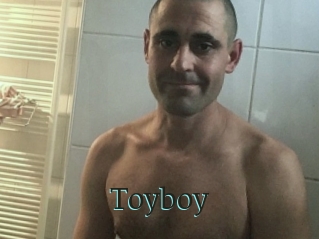 Toyboy