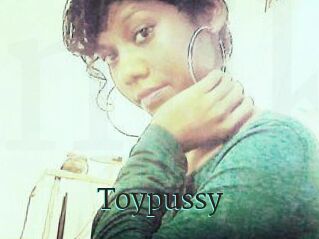 Toypussy